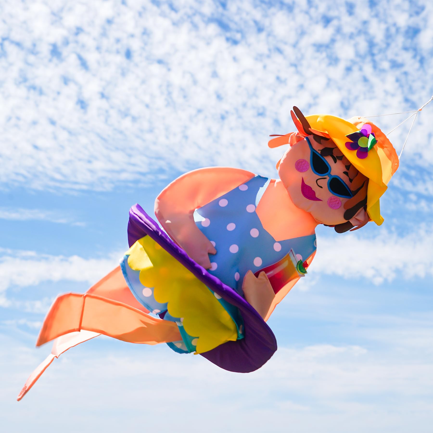 Amazon.com: In The Breeze 1151 Beach BEV 3D Wind Friend Windsock